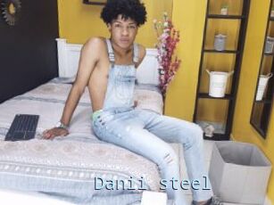 Danii_steel