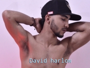 David_harlow