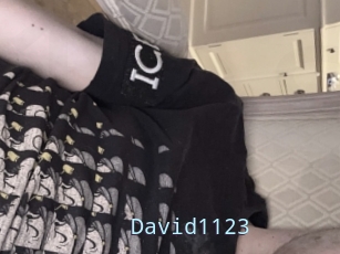 David1123
