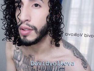 Davidvolkova