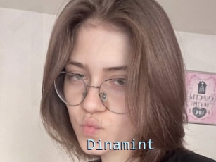 Dinamint