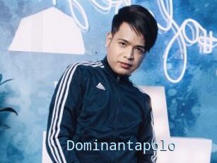 Dominantapolo