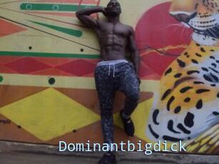 Dominantbigdick
