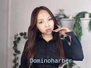 Dominoharber