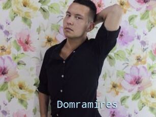 Domramires