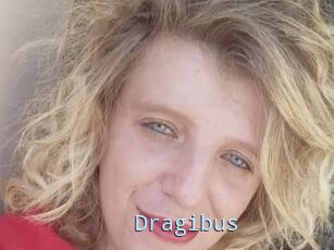 Dragibus