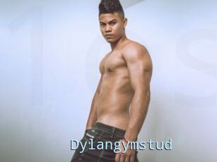 Dylangymstud