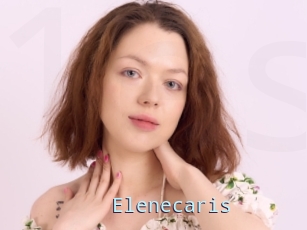 Elenecaris