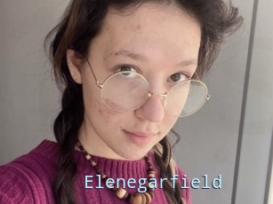Elenegarfield