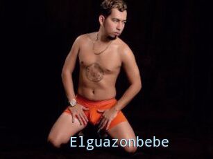 Elguazonbebe