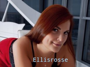 Ellisrosse
