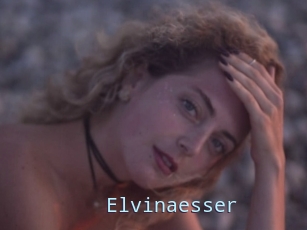 Elvinaesser