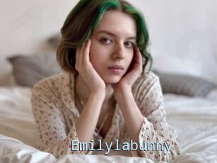Emilylabunny