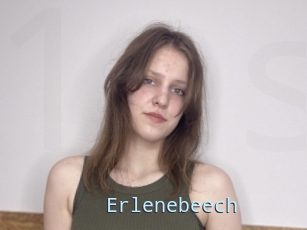 Erlenebeech