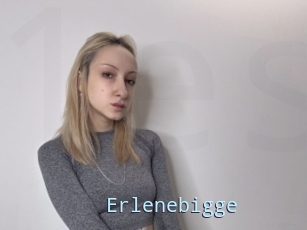 Erlenebigge