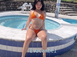 Evacambel