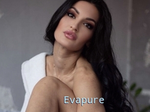 Evapure