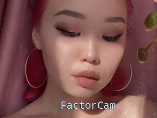 FactorCam