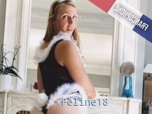 Feline18