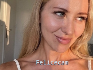 Felicecam