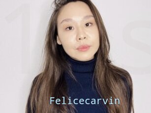 Felicecarvin