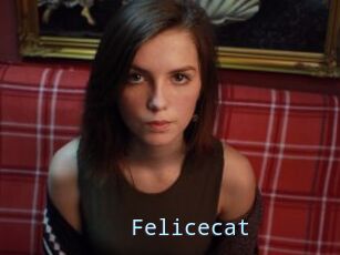 Felicecat