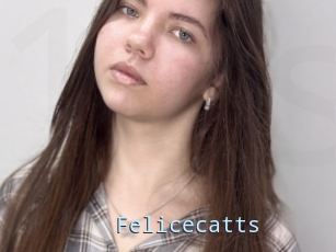 Felicecatts