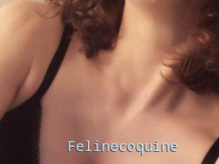 Felinecoquine
