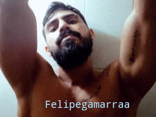 Felipegamarraa