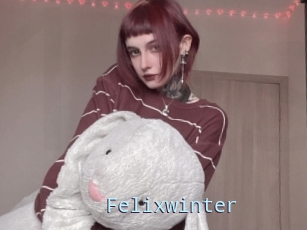 Felixwinter