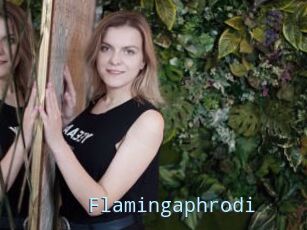 Flamingaphrodi