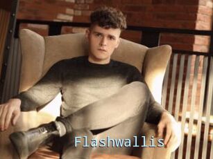 Flashwallis