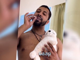 Gaap