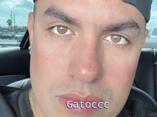 Gatoccc