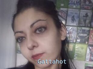 Gattahot