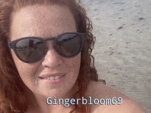 Gingerbloom69
