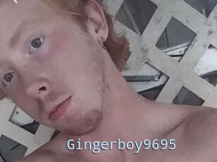 Gingerboy9695