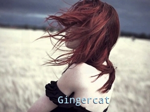 Gingercat