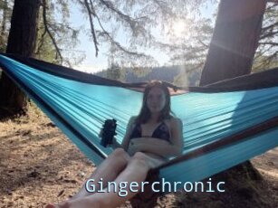 Gingerchronic