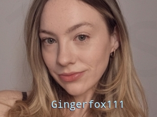 Gingerfox111