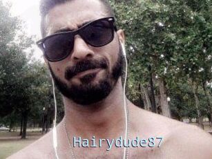 Hairydude87