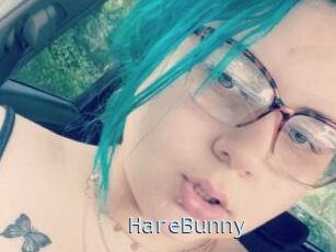 HareBunny
