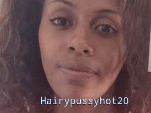 Hairypussyhot20