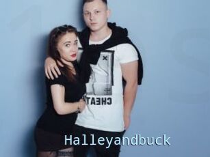 Halleyandbuck