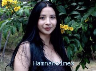 Hamnaholmes