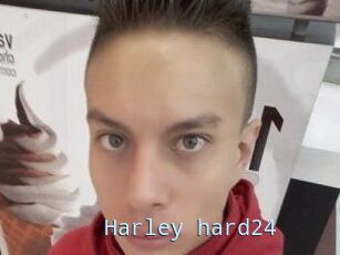 Harley_hard24