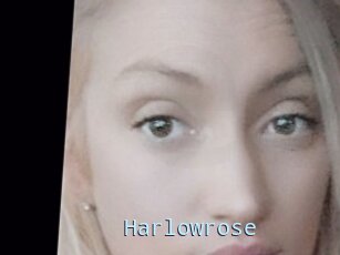 Harlowrose