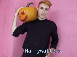 Harrywalters