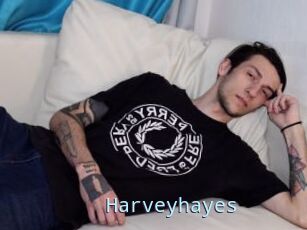 Harveyhayes