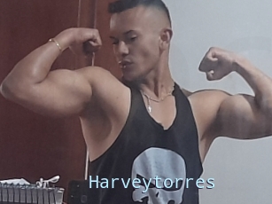 Harveytorres